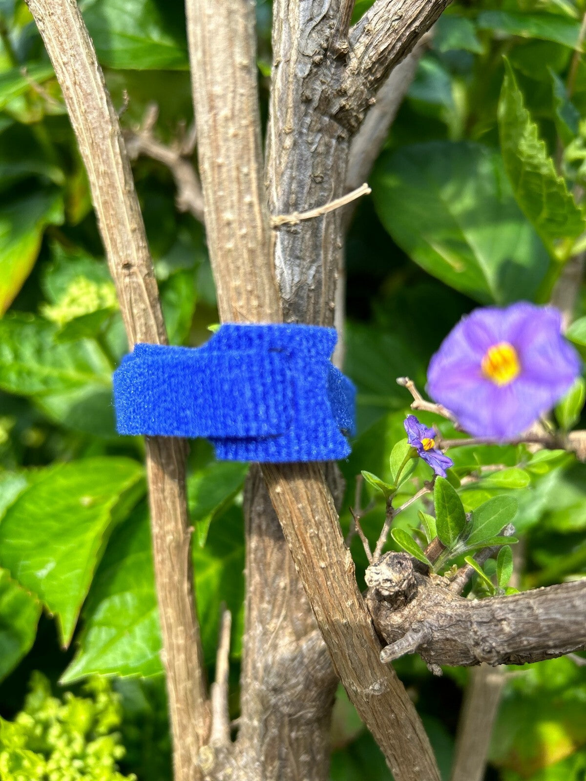 Reusable Velcro cable tie | Set of 25 | 300mm - PiovaHomeFashion 